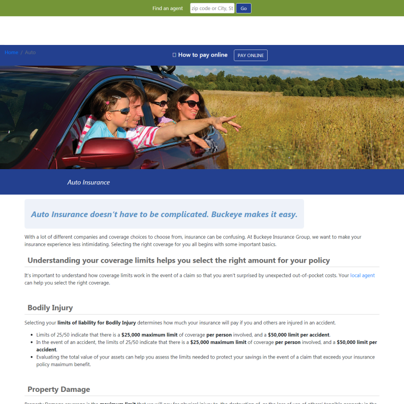 Buckeye Insurance Group